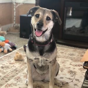 Meet your Posher, Hailey